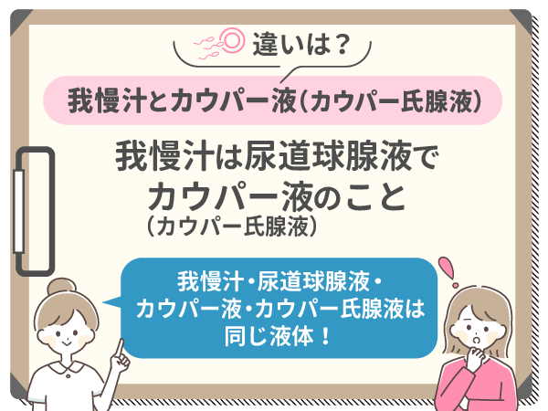 我慢汁とカウパー液(カウパー氏腺液)の違い