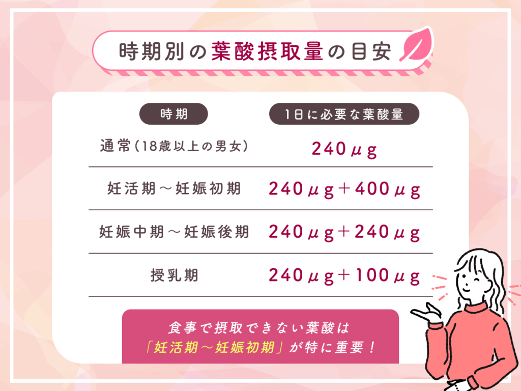 時期別の葉酸摂取量の目安